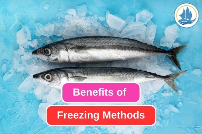 5 Benefits Of Freezing Methods On Fish Preservation
